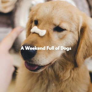 A Weekend Full of Dogs - Doggy Music Radio