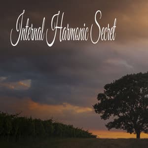 Internal Harmonic Secret - River Sounds