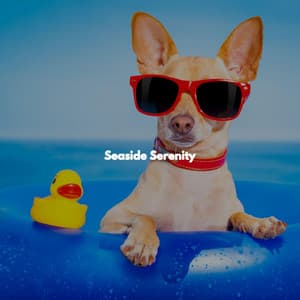 Seaside Serenity - Elevator Jazz Music