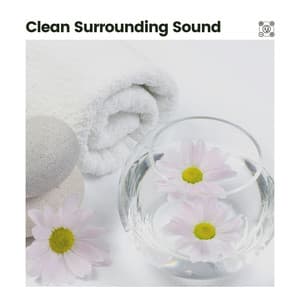 Clean Surrounding Sound - Sleep Sounds Ambient Noises