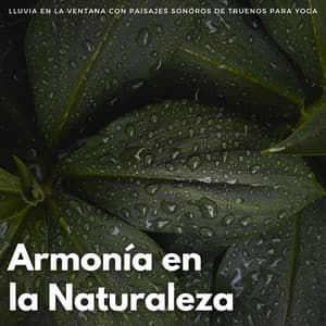 Armonía En La Naturaleza: Lluvia En La Ventana Con Paisajes Sonoros De Truenos Para Yoga - Contenido de calidad Lofi