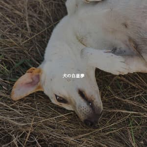 犬の白昼夢 - Luxury Restaurant Music