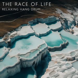 The Race of Life: Relaxing Hang Drum with Nature, Meditation Session - Hang Drum Pro