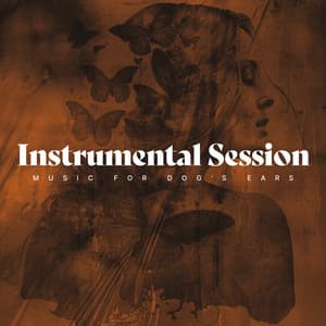 Instrumental Session - Music for Dog's Ears