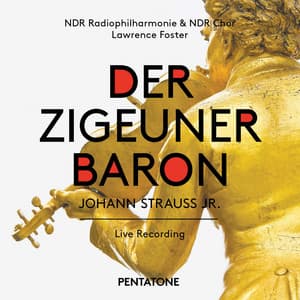 Strauss: Der Zigeunerbaron - Johann Strauss II