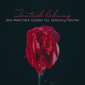 Tantrisk läkning: Den praktiska guiden till sensuell tantra, Skönhets spa salong, Sensuell och känslig avslappning - Helande Instrumentalmusik Akademi