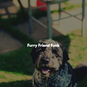 Furry Friend Funk - Classic Jazz
