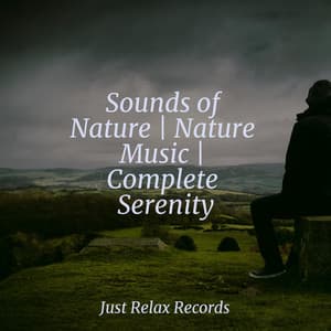 Sounds of Nature | Nature Music | Complete Serenity - Instrumental