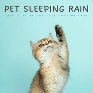 Pet Sleeping Rain: Gentle Rains For Your Dogs Or Cats - For Cats Only