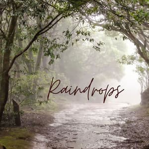Raindrops - Ocean Sounds ACE