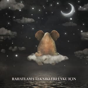 Rahatlama Teknikleri Uyku Için: Uykusuzluk Tedavisi, Ninni Müziği, Uyku Duasi Cocuklar Icin - Bebek Uyku Ninnileri