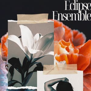 Eclipse Ensemble: Jazz Beneath the Stars - Background Instrumental Music Collective