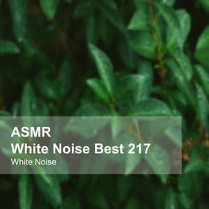 White Noise ASMR Best 217 - White Noise