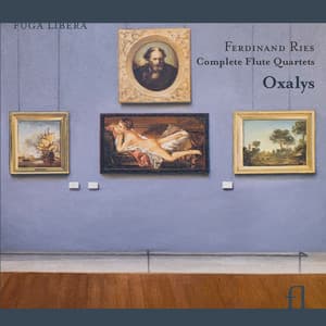 Ries: Complete Flute Quartets - Ferdinand Ries