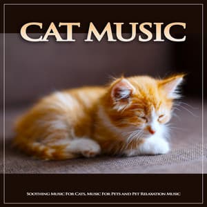 Cat Music: Soothing Music For Cats, Music For Pets and Pet Relaxation Music - Cat Music