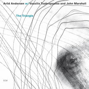 The Triangle - Arild Andersen