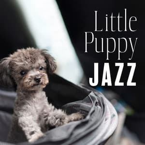 Little Puppy Jazz - The Naughty Puppet Band