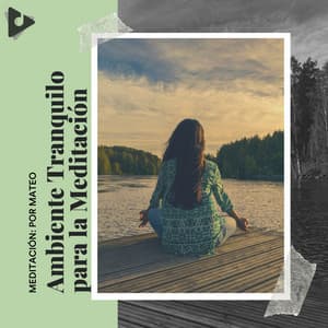 Ambiente Tranquilo para la Meditación - Meditación: Por Mateo