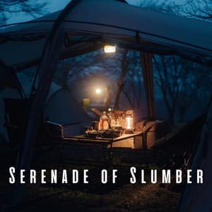 Serenade of Slumber: Rain on Tent with Wind for Restful Sleep - Rain In Spain