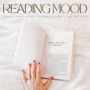 Reading Mood: Serene Forest Sounds To Study Efficiently All Day Long - Relaxing Study Music Moments