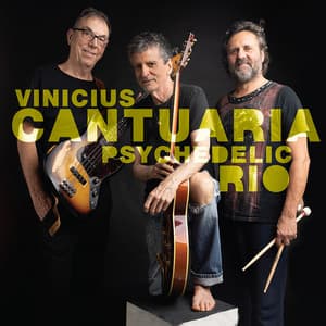 Psychedelic Rio - Vinicius Cantuaria