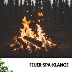 Feuer-Spa-Klänge: Melodien für ruhige Nächte - Cat Music Therapy