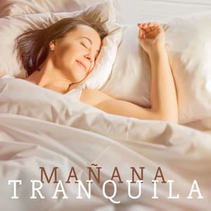 Mañana Tranquila: Música Nueva Era para Relajarse y Despertar Bien - Despertar Cómoda