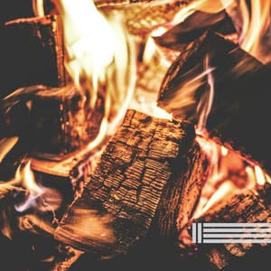 Campfire In The Woods - Natura Ferox