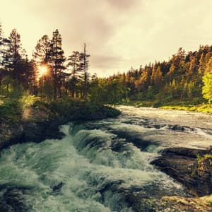 Flowing Music: Tranquil Contemplation by the River - Nova Rituatl