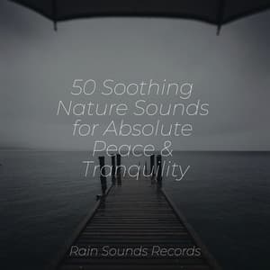 50 Soothing Nature Sounds for Absolute Peace & Tranquility - Cascada de Lluvia