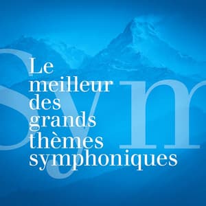 Le meilleur des grands thèmes symphoniques - 165 oeuvres incontournables de musique classique