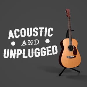 Acoustic and Unplugged - Acoustic Guitar Songs
