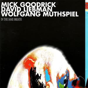 In the Same Breath - Mick Goodrick