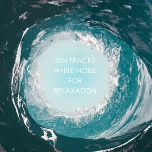 12 Zen Tracks - White Noise for Relaxation - White Noise Relaxation