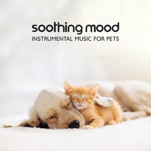 Soothing Mood - Pet Relax Academy
