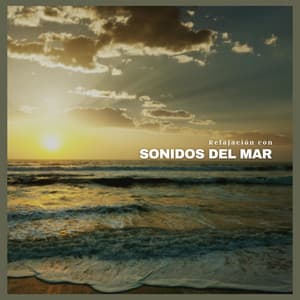 Relajación Con Sonidos del Mar - Relajación Natural Maestro