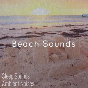 Beach Background & Tropical Sounds for Complete Relaxation - Sleep Sounds Ambient Noises