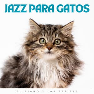 Jazz Para Gatos: El Piano Y Las Patitas - Equipo de piano relajante