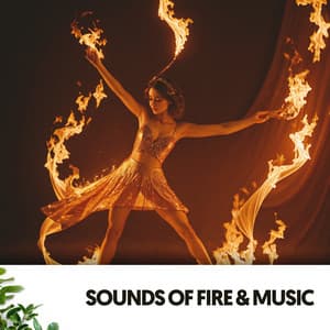 Sonidos de Fuego y Música: Danzando en las llamas - Relajacion