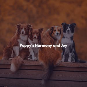 Puppy's Harmony and Joy - Restaurant Jazz Classics