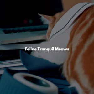 Feline Tranquil Meows - Cafe Musique Francaise