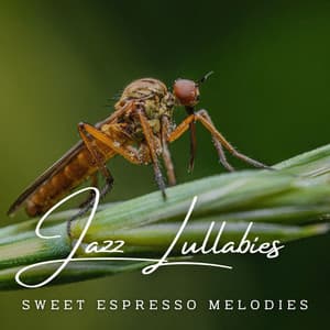Jazz Lullabies: Cafe Lounge for Babies - Coffee Lounge Jazz Chill Out