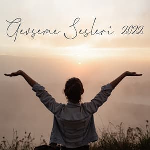 Gevşeme Sesleri 2022 - Mark Siddhi