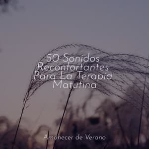 50 Sonidos Reconfortantes Para La Terapia Matutina - Chillout Lounge