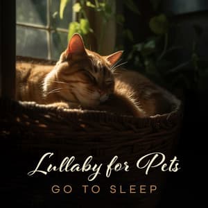 Lullaby for Pets: Go To Sleep, Heartwarming and Cute Music for Animals, For Sleeping and Stress Relief - Pet Care Club