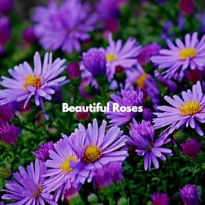 Beautiful Roses - New Orleans Jazz Band