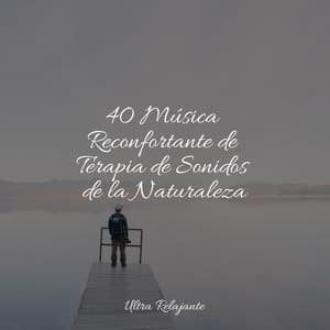 40 Música Reconfortante de Terapia de Sonidos de la Naturaleza - Canciones Infantiles de Niños