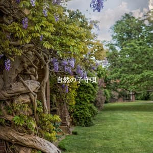 自然の子守唄 - Chilled Morning Music