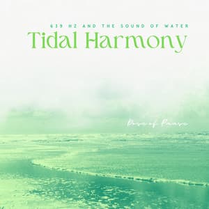 Tidal Harmony: 639 Hz and the Sound of Water - Dose of Pause