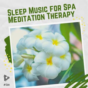 Sleep Music for Spa Meditation Therapy - #Zen